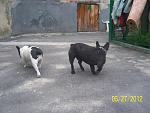     
: 100_4250.jpg
: 6
:	157.3 
ID:	4335831