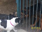     
: 100_4253.jpg
: 9
:	105.5 
ID:	4335884