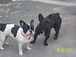     
: 100_4256.jpg
: 11
:	145.6 
ID:	4335899