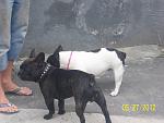    
: 100_4262.jpg
: 14
:	131.9 
ID:	4335906