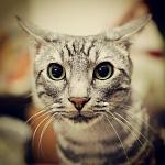     
: IMG_20120421_161812.jpg
: 6
:	100.4 
ID:	4339767