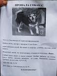     
: P5284310.jpg
: 69
:	87.2 
ID:	4340188