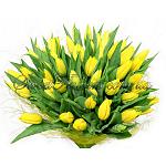     
: sun_day1_600.jpg
: 8
:	199.7 
ID:	4340368
