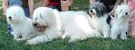     
: DSC09066(1).jpg
: 13
:	98.8 
ID:	4344954