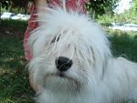     
: DSC09061.jpg
: 11
:	139.6 
ID:	4344956
