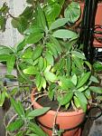     
: GEDC0324.jpg
: 5
:	108.6 
ID:	4345886