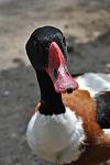     
: DSC_0248.jpg
: 18
:	46.4 
ID:	4347048