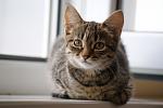     
: DSC04436.jpg
: 16
:	79.9 
ID:	4347713