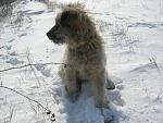     
: DSCN9626.jpg
: 1
:	178.3 
ID:	4351054