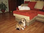     
: IMG_1133.jpg
: 18
:	93.7 
ID:	4351176