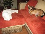     
: IMG_1097.jpg
: 15
:	117.6 
ID:	4351179