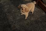     
: DSC_0013.jpg
: 8
:	155.3 
ID:	4355026