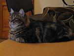     
: IMG_3051.jpg
: 12
:	132.4 
ID:	4356052