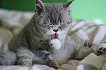     
: IMG_4545.jpg
: 9
:	81.3 
ID:	4356240