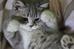     
: IMG_4589.jpg
: 13
:	102.5 
ID:	4356242