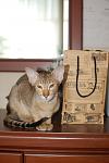    
: DSC_4148.jpg
: 12
:	62.7 
ID:	4357726