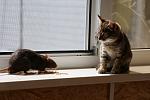     
: DSC04591.jpg
: 12
:	115.3 
ID:	4358330
