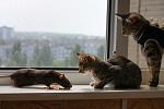     
: DSC04581.jpg
: 7
:	134.3 
ID:	4358332