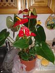     
: 2012-05-13 14.15.35.jpg
: 14
:	155.6 
ID:	4359250