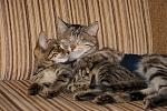     
: DSC04648.jpg
: 11
:	180.0 
ID:	4359682