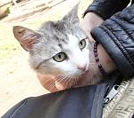     
: 2c6wiLGRvkE.jpg
: 5
:	226.8 
ID:	4362861