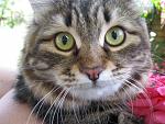     
: IMG_3151.jpg
: 9
:	170.4 
ID:	4363358