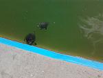     
: 2012-06-02 15.56.30.jpg
: 5
:	135.0 
ID:	4364120