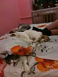     
: IMG_0056.jpg
: 15
:	94.7 
ID:	4364811