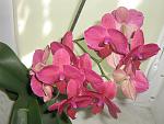     
: IMG_3207.jpg
: 3
:	116.7 
ID:	4366085