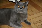     
: IMG_0053.jpg
: 4
:	108.7 
ID:	4367249