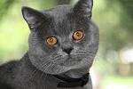     
: IMG_0043.jpg
: 21
:	126.6 
ID:	4367253