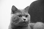     
: IMG_0069.jpg
: 7
:	68.3 
ID:	4367254