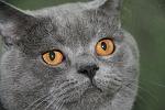     
: IMG_0048.jpg
: 4
:	143.4 
ID:	4367255