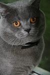     
: IMG_0051.jpg
: 5
:	88.7 
ID:	4367273