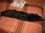     
: IMG_2214.jpg
: 5
:	154.4 
ID:	4367873