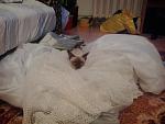     
: 20.43.13.jpg
: 4
:	217.4 
ID:	4368347