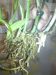     
: DSC01176.jpg
: 114
:	80.7 
ID:	4369672