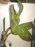     
: DSC01197.jpg
: 82
:	75.6 
ID:	4369673