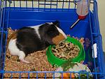     
: was 011.jpg
: 7
:	169.1 
ID:	4371707