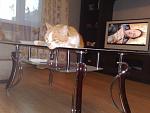     
: 04062012750.jpg
: 1
:	111.2 
ID:	4374930