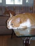     
: 04062012753.jpg
: 1
:	70.8 
ID:	4374932