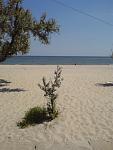     
: DSC06476_..JPG
: 256
:	83.7 
ID:	437626
