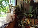     
: DSC04516.jpg
: 13
:	206.0 
ID:	4378957