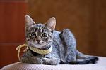     
: DSC05522.jpg
: 8
:	83.6 
ID:	4383905