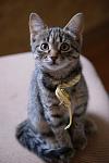     
: DSC05487.jpg
: 15
:	59.7 
ID:	4383917