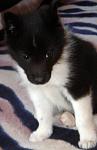     
: z_24cc7e5a.jpg
: 11
:	85.6 
ID:	4383955