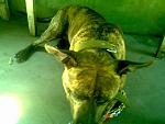     
: Фото0156.jpg
: 54
:	156.4 
ID:	4387214