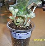     
: 100_0583.jpg
: 16
:	109.0 
ID:	4389350