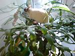     
: DSC00767.jpg
: 7
:	141.1 
ID:	4394153