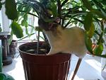     
: DSC00763.jpg
: 8
:	120.2 
ID:	4394154